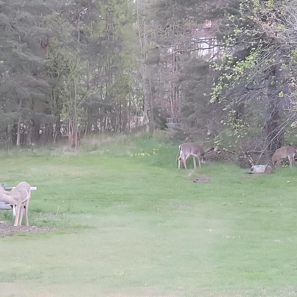 Paeivaekulma Villa Naantali Bagian luar foto